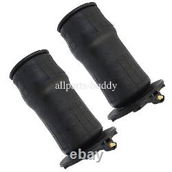 Pair Rear Air Spring Bag for Land Rover Range Rover MK2 P38A 95-02 #RKB101460