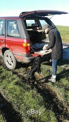 Range rover p38